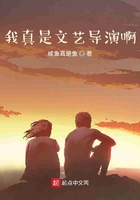 艾诺迪亚4忍者加点