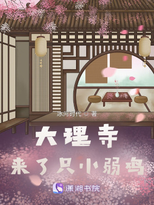 顾今夜赵白露全本资源