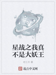 兄弟:双子传说