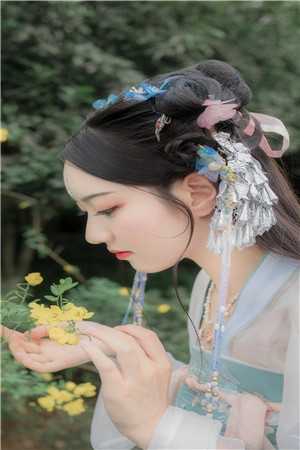 兽电战队强龙者在线观看