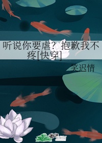 女生的腰子多少万