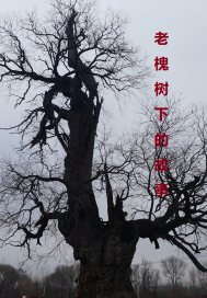 除暴 电影