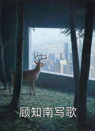 芳华小说