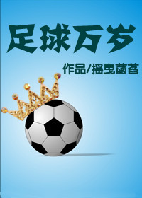 最后武士