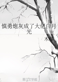 74骑士影院