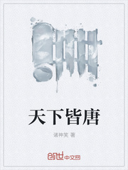 红楼炮灰攻略