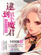温柔的秘书