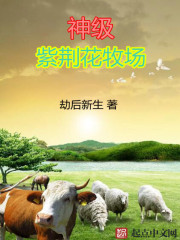 网上购彩