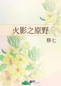 上门为婿小说
