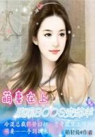 h的小说