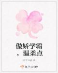 苍狼导航无良导航