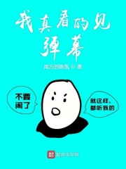 男主是缅甸毒枭的小说