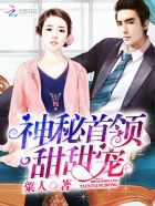 飞虎神鹰1-42集免费观看