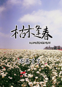 夜鲁日鲁在线播放