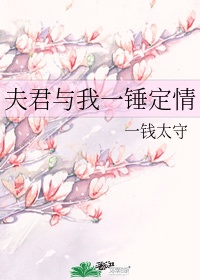 成都4 p