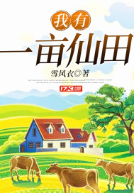 阿v天堂网2024
