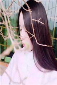迪卢木多