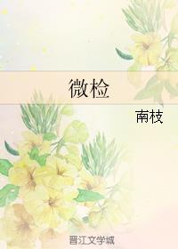 时安陆南望免费阅读