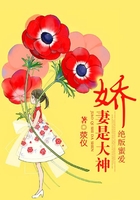 老公打老婆屁屁作文