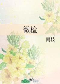 初级阶段的基本路线