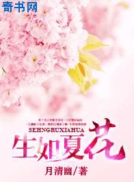 烽火佳人小说