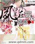 国产vpswindows精品区