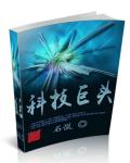 重生王爷公主妃