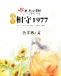 午夜污