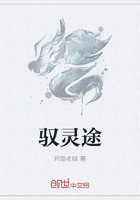 半路夫妻 电视剧