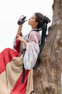 半路夫妻电视剧免费完整版观看