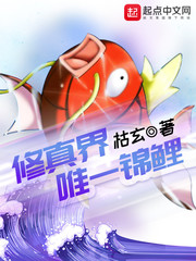乘风越海小说