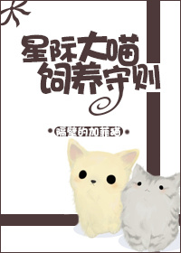 小黄文肉