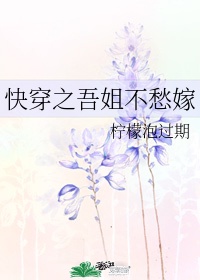校花的贴身高手免费观看