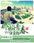 国产精品2024最新在线观看