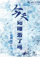 隔壁机长大叔是饿狼黑暗森林