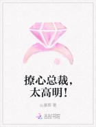 91在线chinese内部