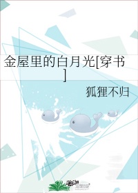 caop在线