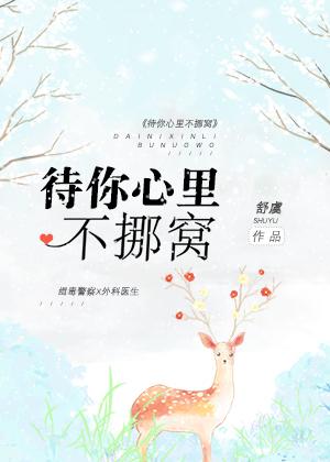 任我爽视频在线观看免费