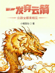 阿宾全文阅读