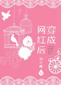 平凡岁月的魅力