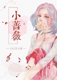 农家小寡妇小说全文免费阅读