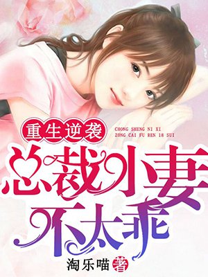 岳父相