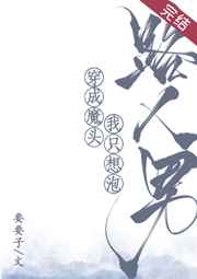 大团结小说冰点