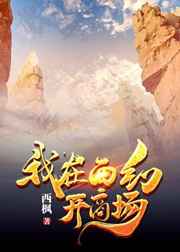 天才维修师