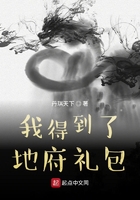 阿宾与胡太太1至72章