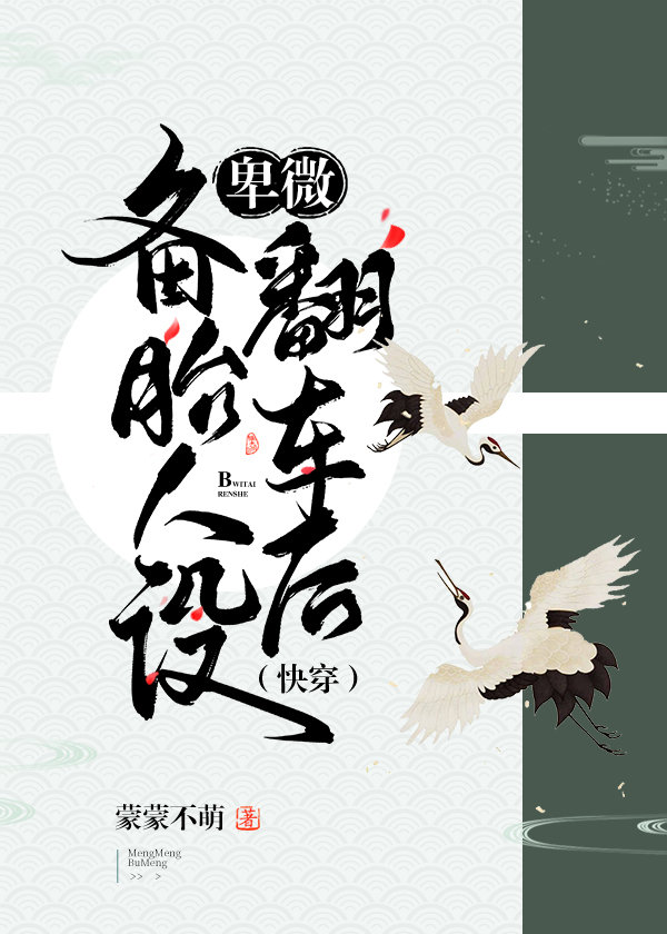 西北锤王电视剧免费观看