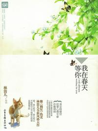 沈莹妻欲结局55 60