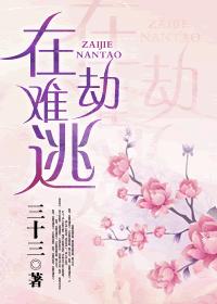 爱乃娜美在线观看