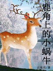 明日情圣