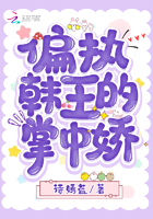 萧琰艾米小说